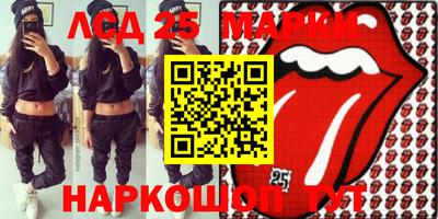 гидропоника Пенза