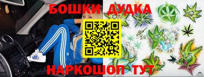 гидропоника Пенза