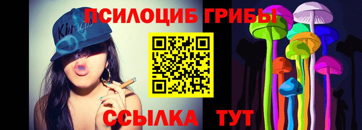 Псилоцибиновые грибы мухоморы  дарнет шоп  Вход с VPN  Сланцы  Галлюциногенные грибы Psilocybine cubensis 