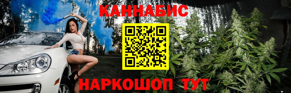 Сланцы  Конопля Ganja  Вход с VPN  Бошки марихуана план  Шишки марихуана SATIVA & INDICA 